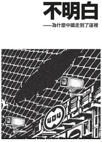 不明白——為什麼中國走到了這裡